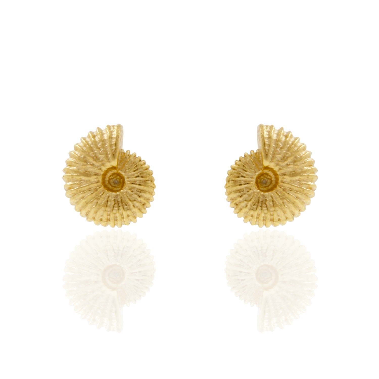 Ammonite Earrings - Gold