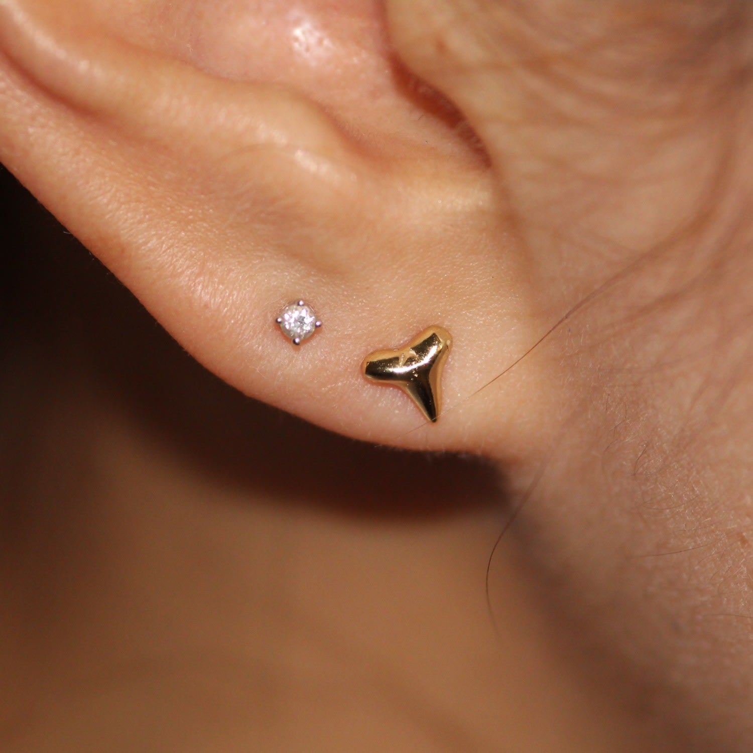 Shark Tooth Stud Yellow Gold Earrings