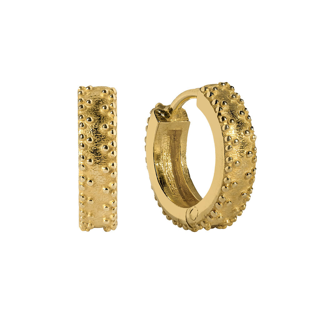 Rania Gold Huggie Hoop Earrings
