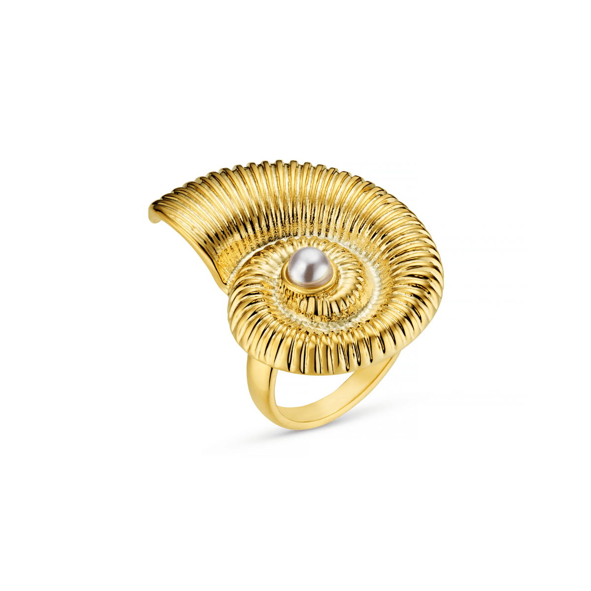 Statement Textured Ammonite Ring