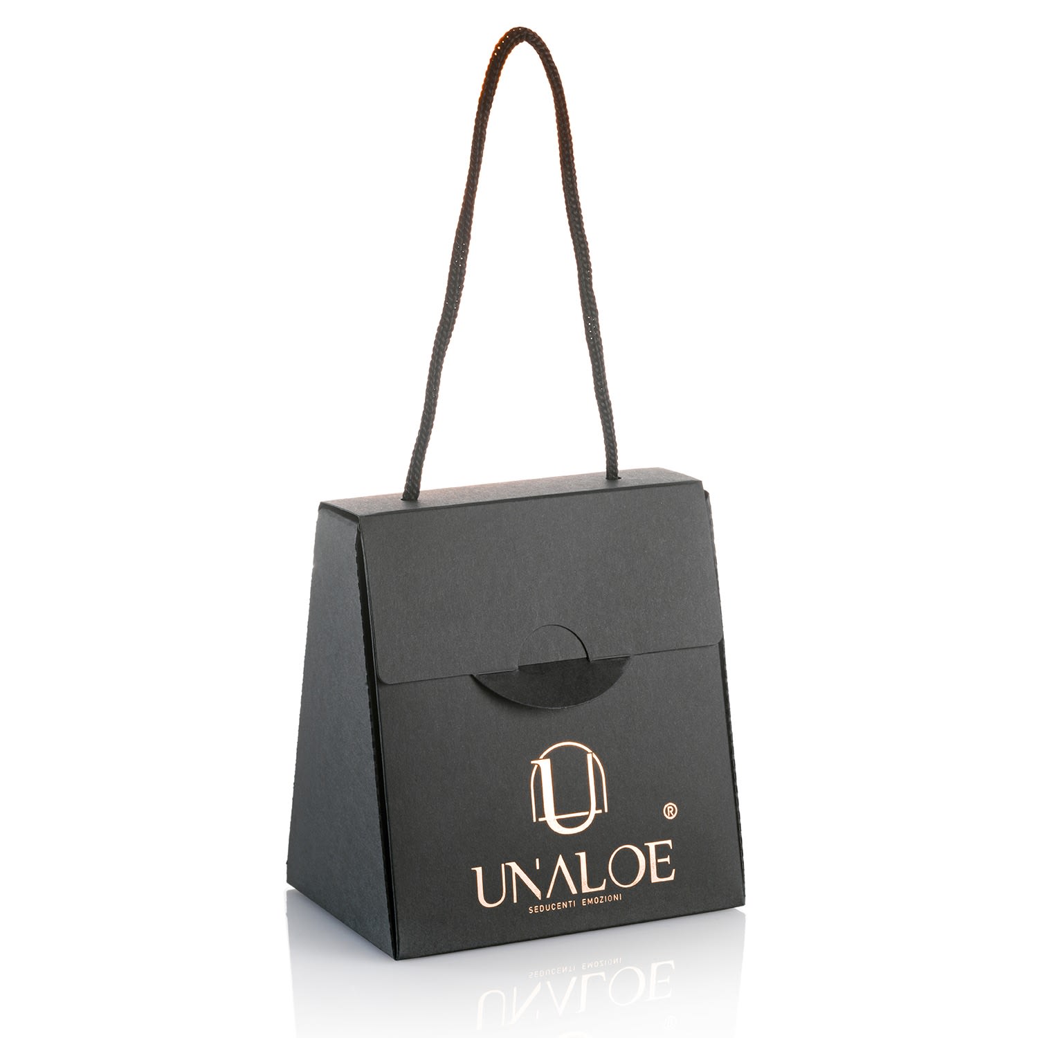 Silver Earrings With Gold-Plated Black Horn Pendant