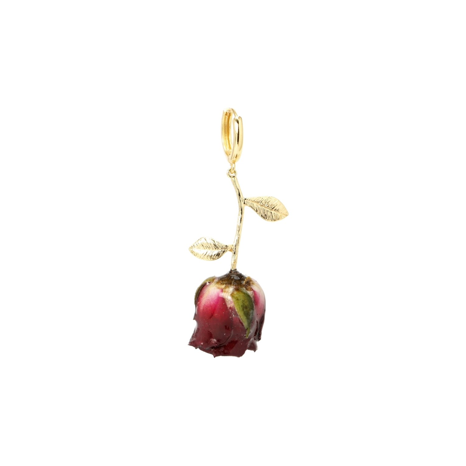 Real Flower Grande Amore Rosebud Drop Single Earring With Huggie Hoop