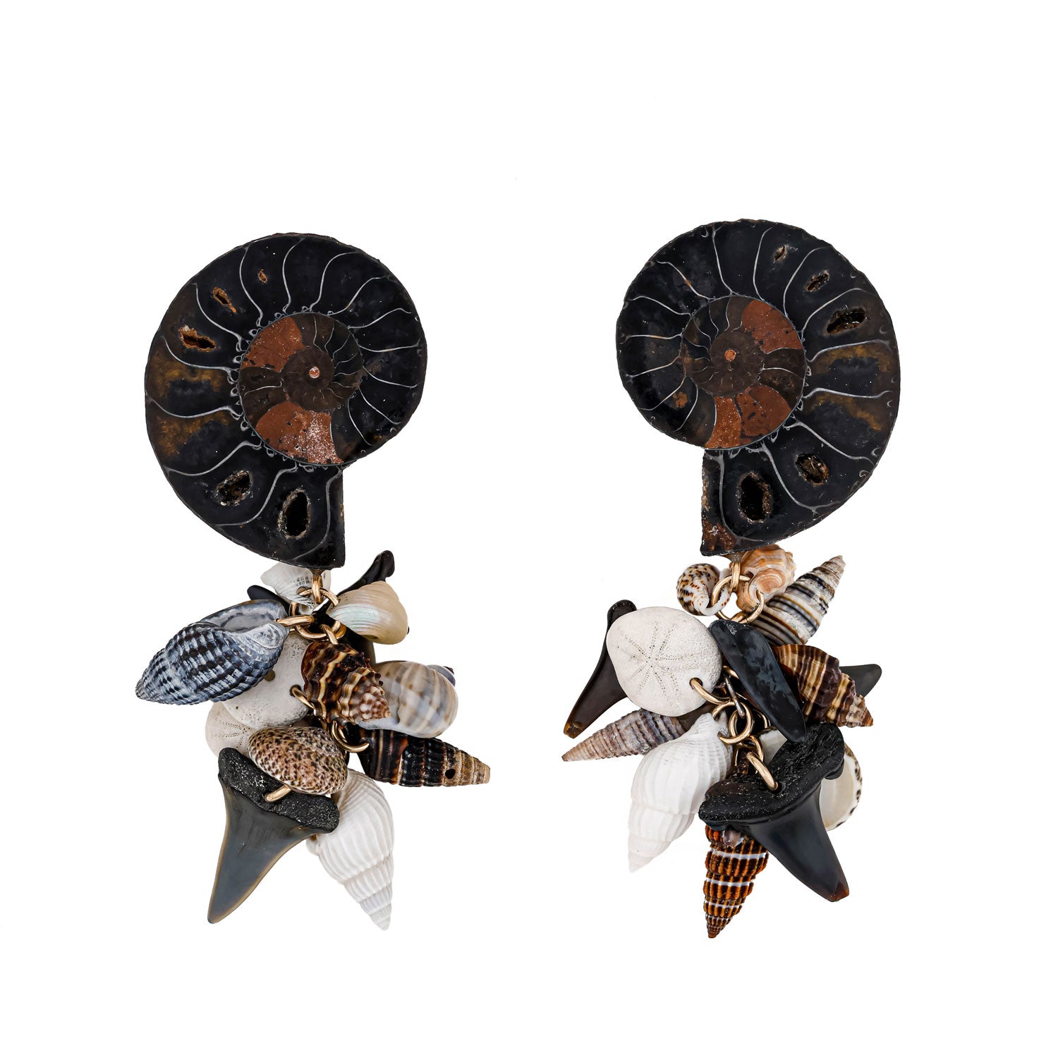 Sea Treasures Black Ammonite Shells Shark Teeth Fossils & Gold One Of A Kind Earrings