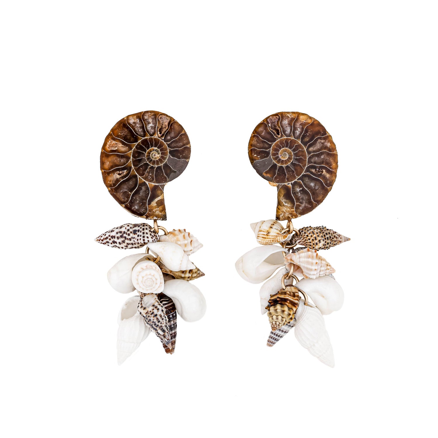 Sea Treasures Brown Ammonite Seashells Gold One Of A Kind Earrings