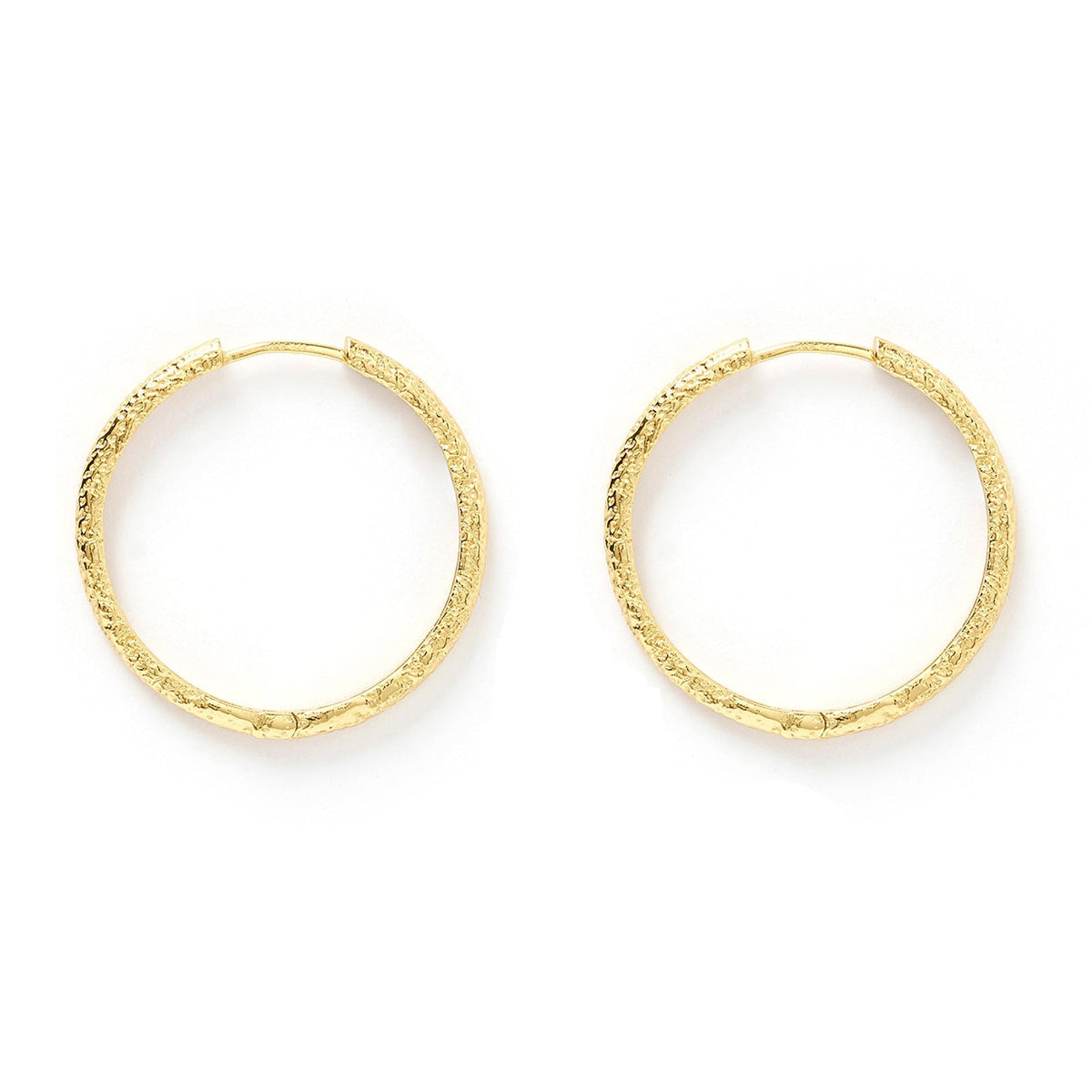 Sebastian Gold Hoop Earrings