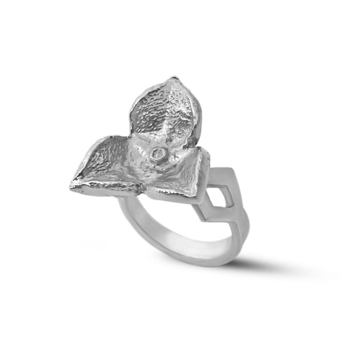 the silver seed pod ring size 7