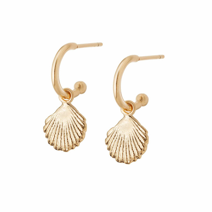 shell-drop-earrings-18ct-gold-plated-sterling-silver-daisy-london