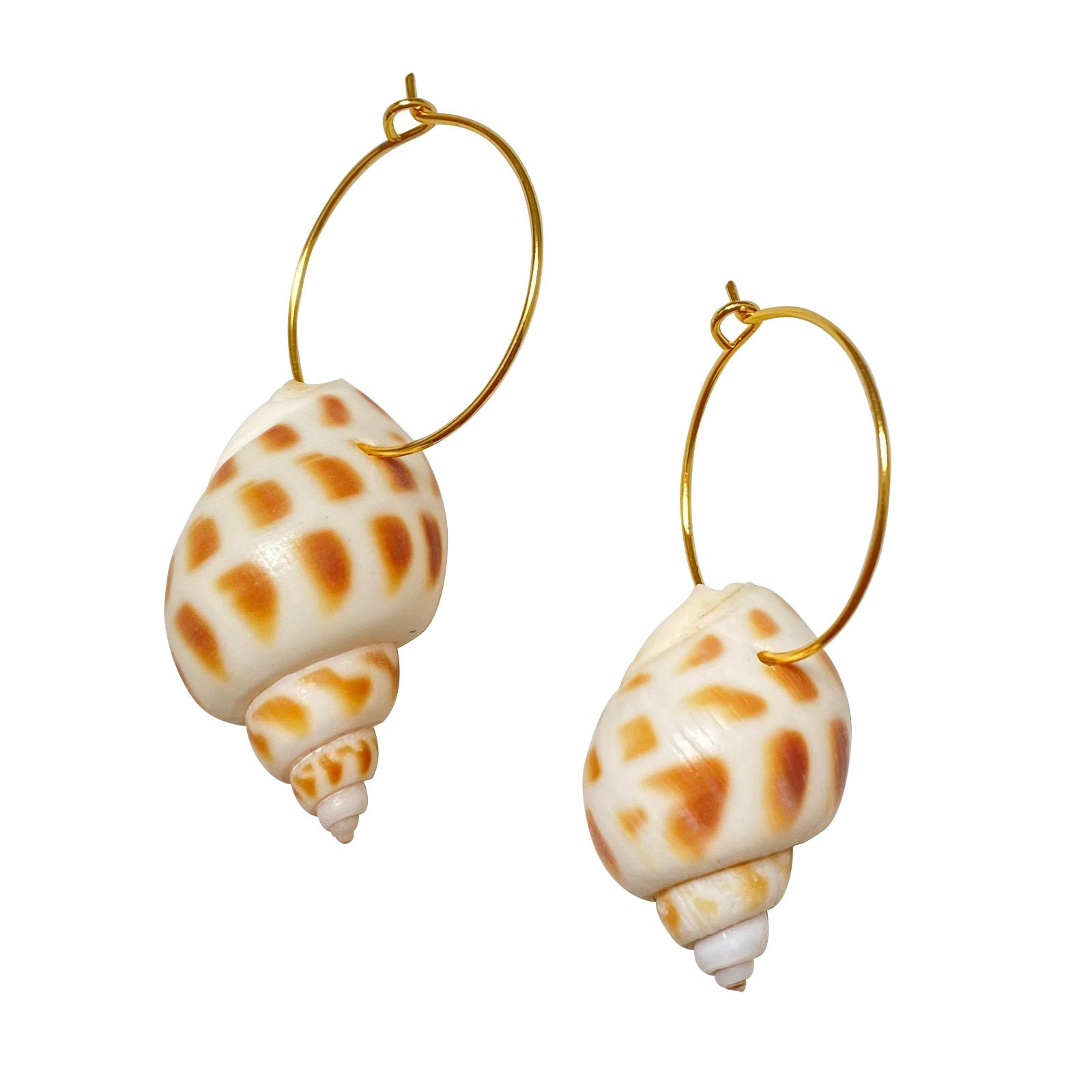 Shell Hoops Malta