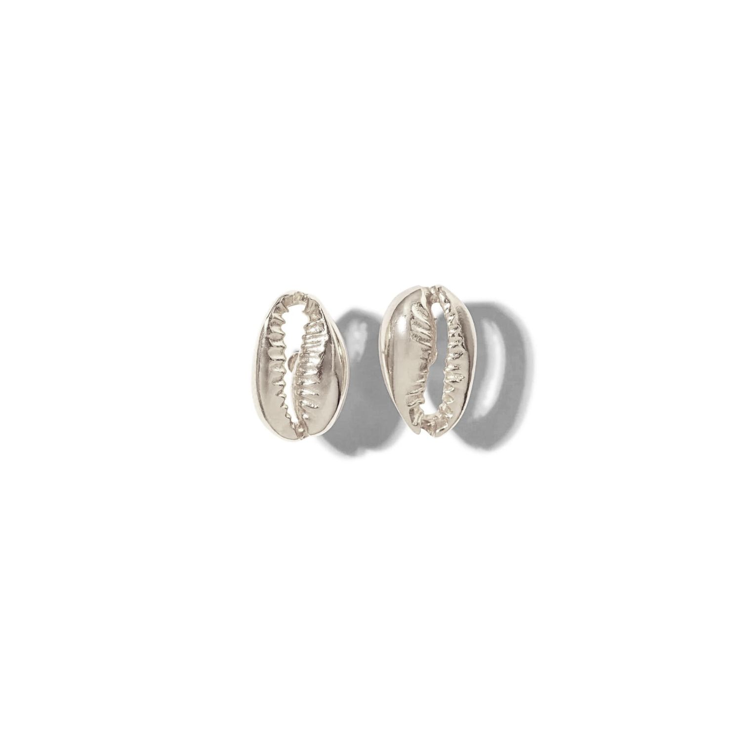 Silver Cowrie Stud Post Earrings