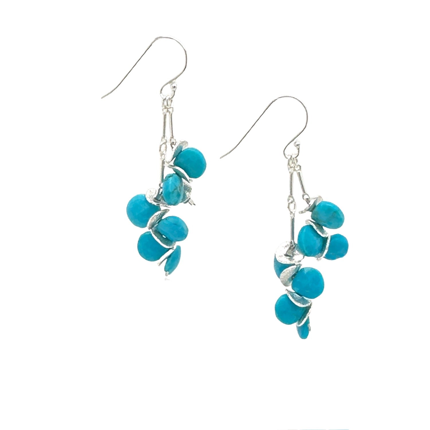 Sleeping Beauty Turquoise Sterling Earrings
