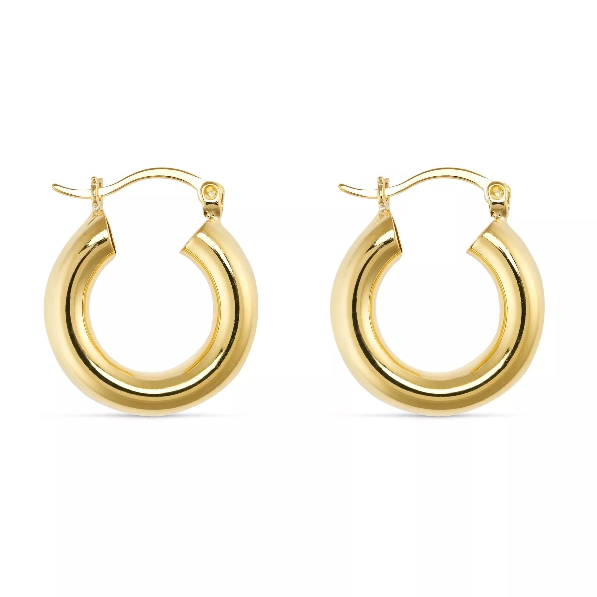 Small Gold Thick Hoops
