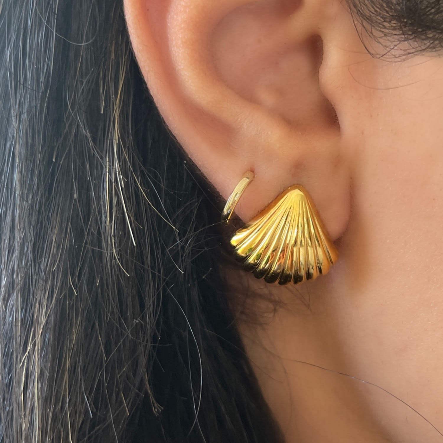 Small Shell Ribbed Gold Earrings