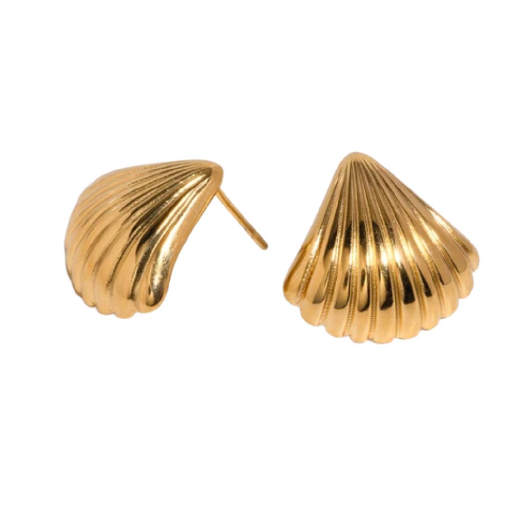 Small Shell Ribbed Gold Earrings