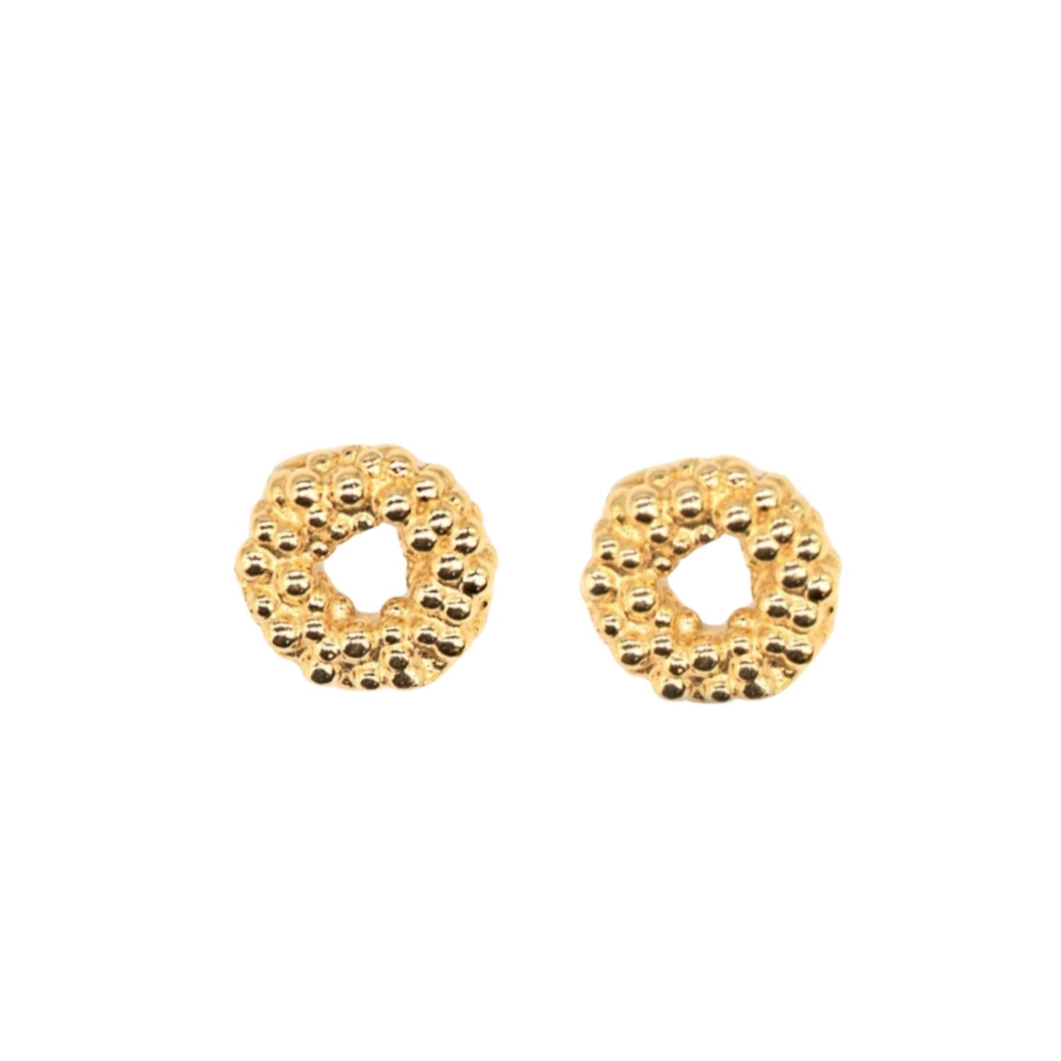 Solid Gold Mini Barnacle Hoops
