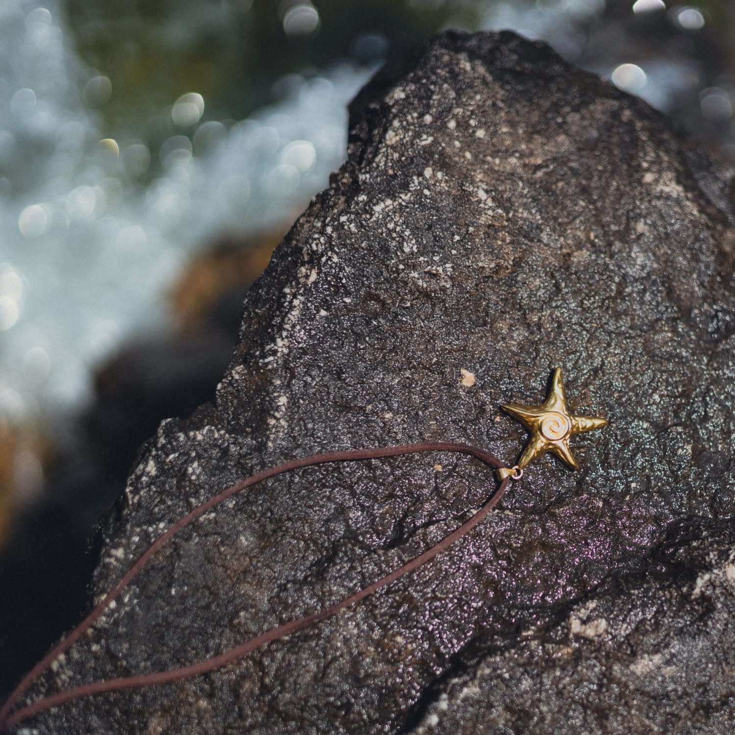 Starfish Choker Gold