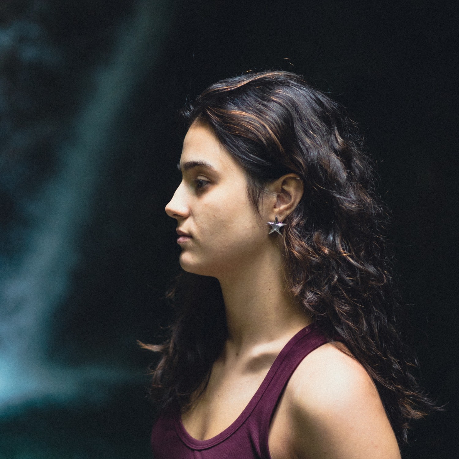 Starfish Earrings Simple Steel