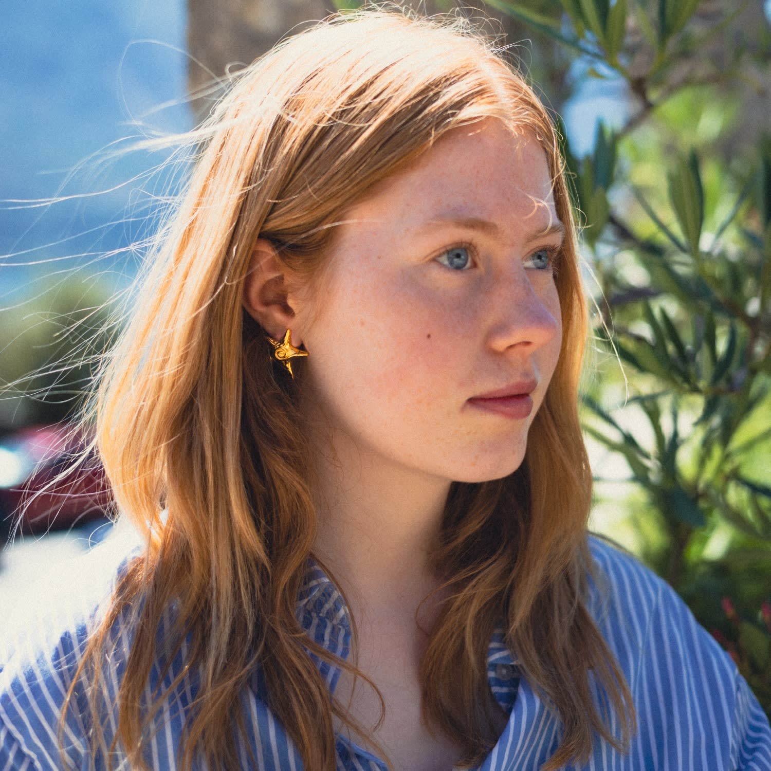 Starfish Earrings Small Gold