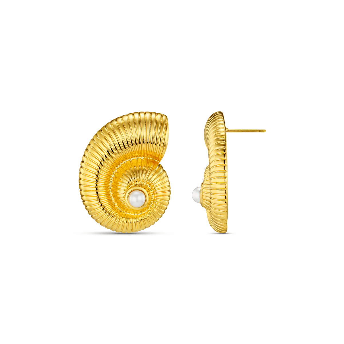 Textured Ammonite Statement Studs