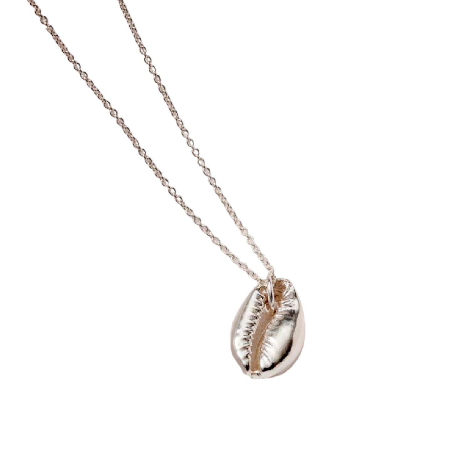 Sterling Silver Cowrie Shell Necklace