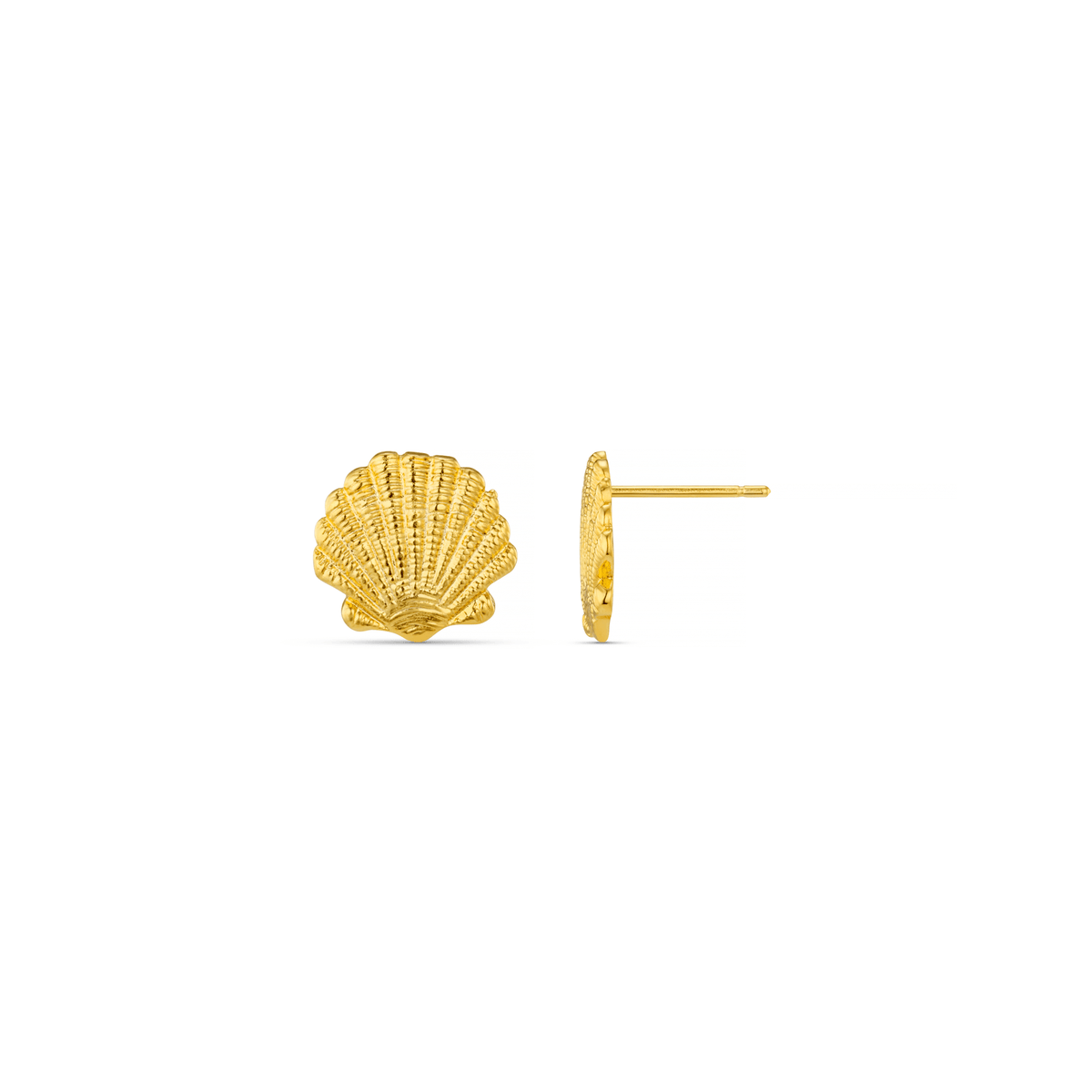 Shell Stud Earrings
