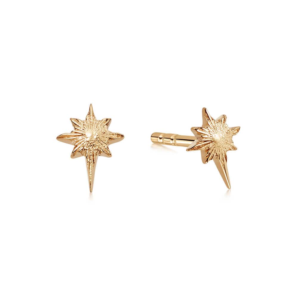 super-star-stud-earrings-18ct-gold-plated-daisy-london
