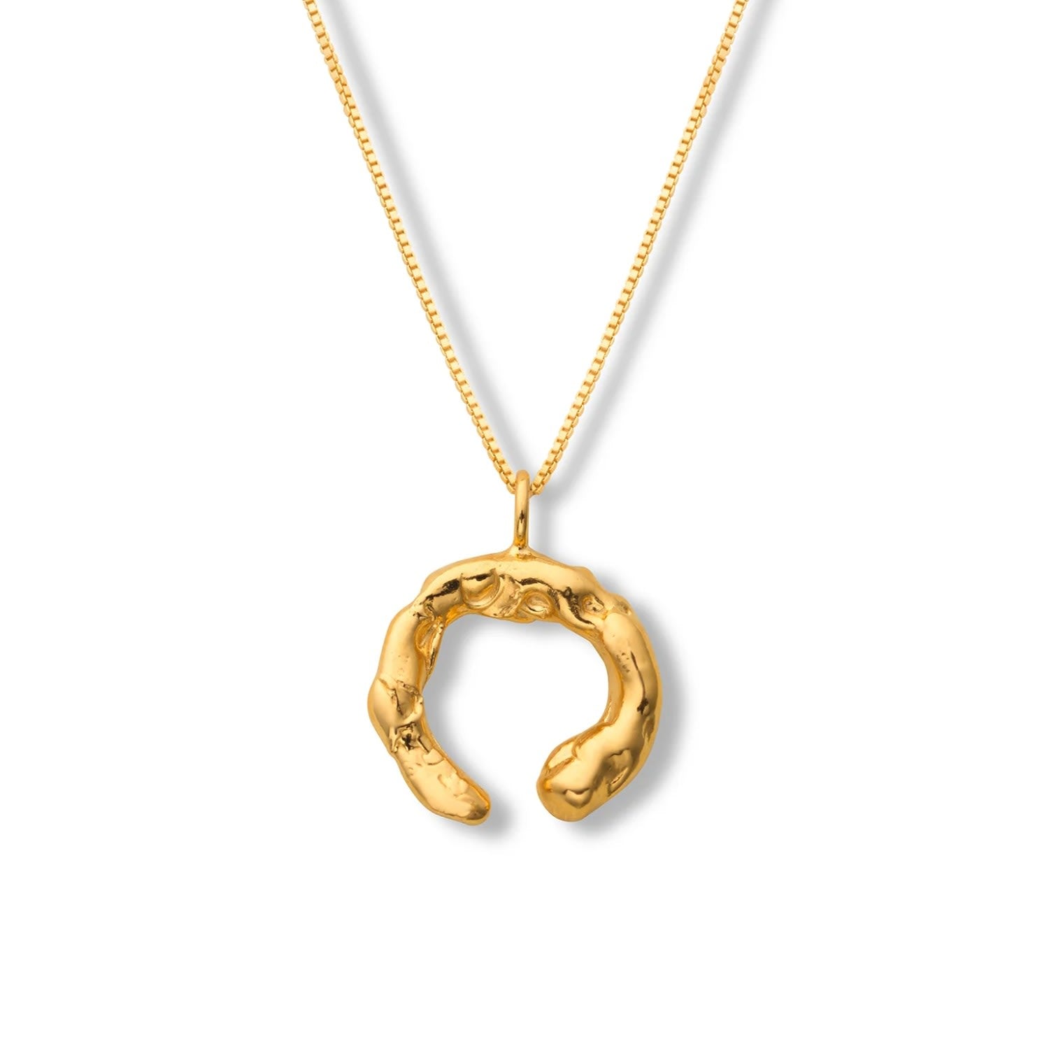 Talisman Fortune Necklace Gold