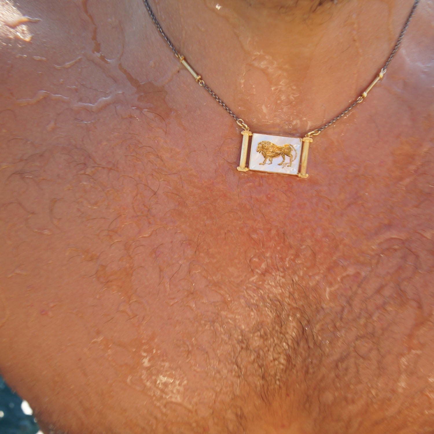 The Aslan Iv Necklace