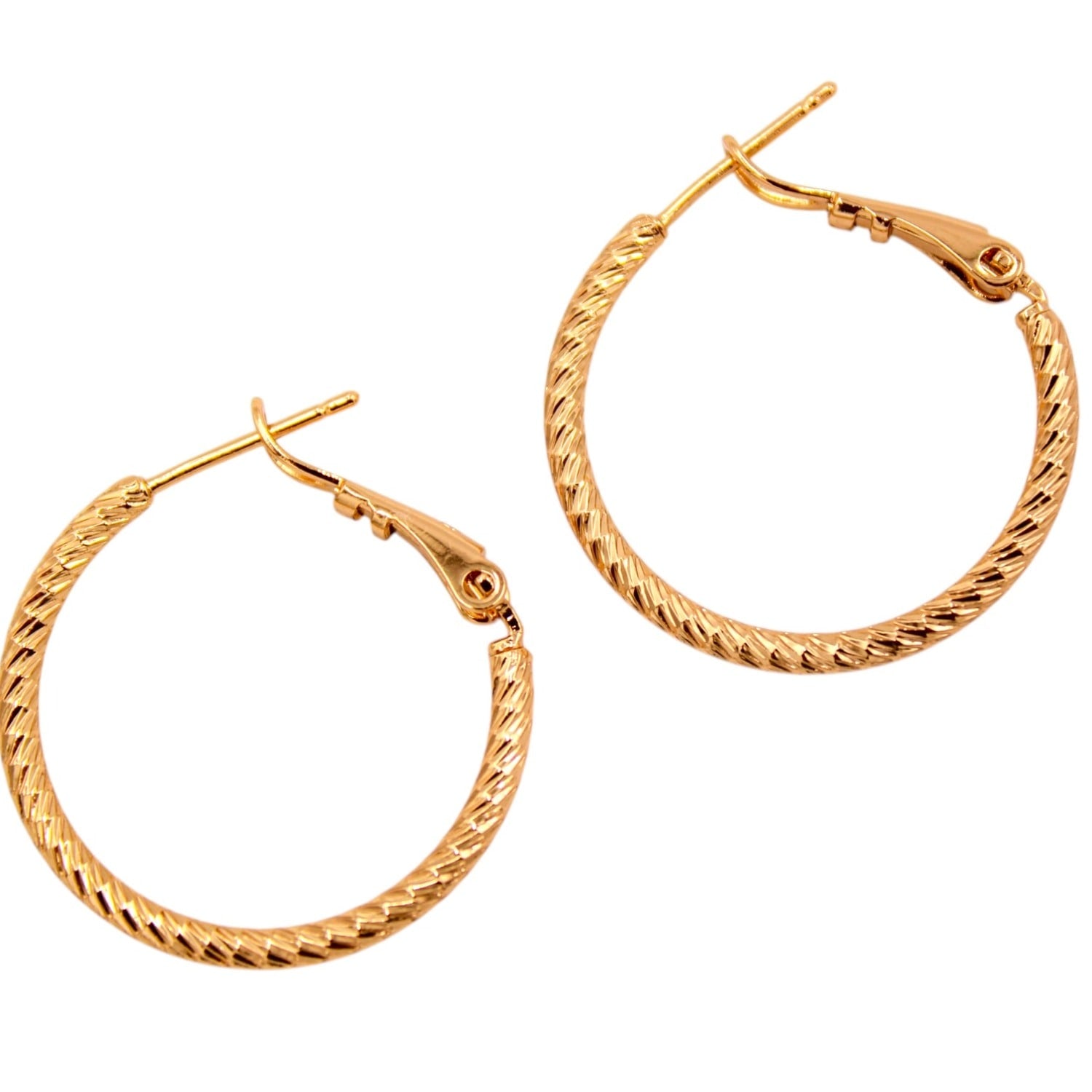 Timeless Modern Hoop Earrings