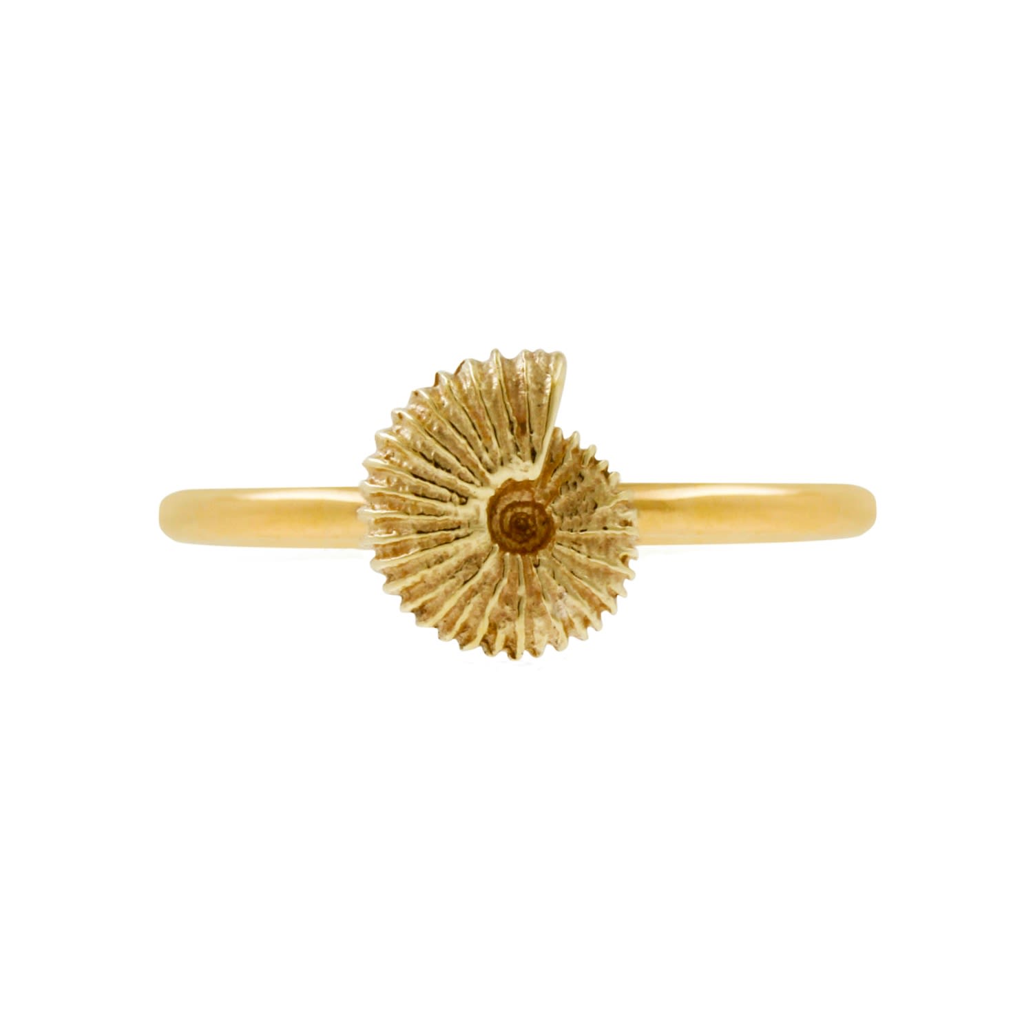Ammonite Ring - Gold