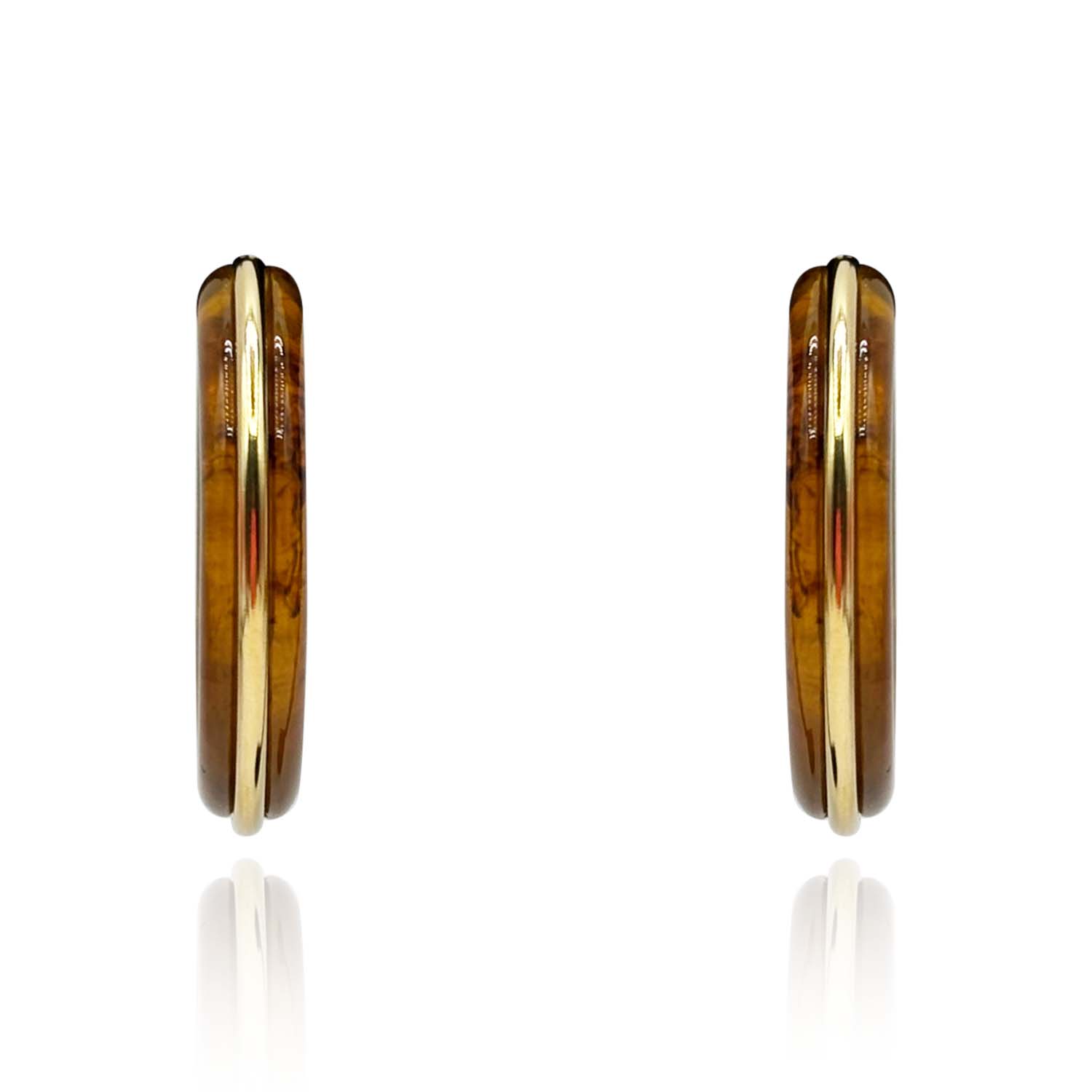 Tortoise Resin Hoop Earrings With Gold Stripe