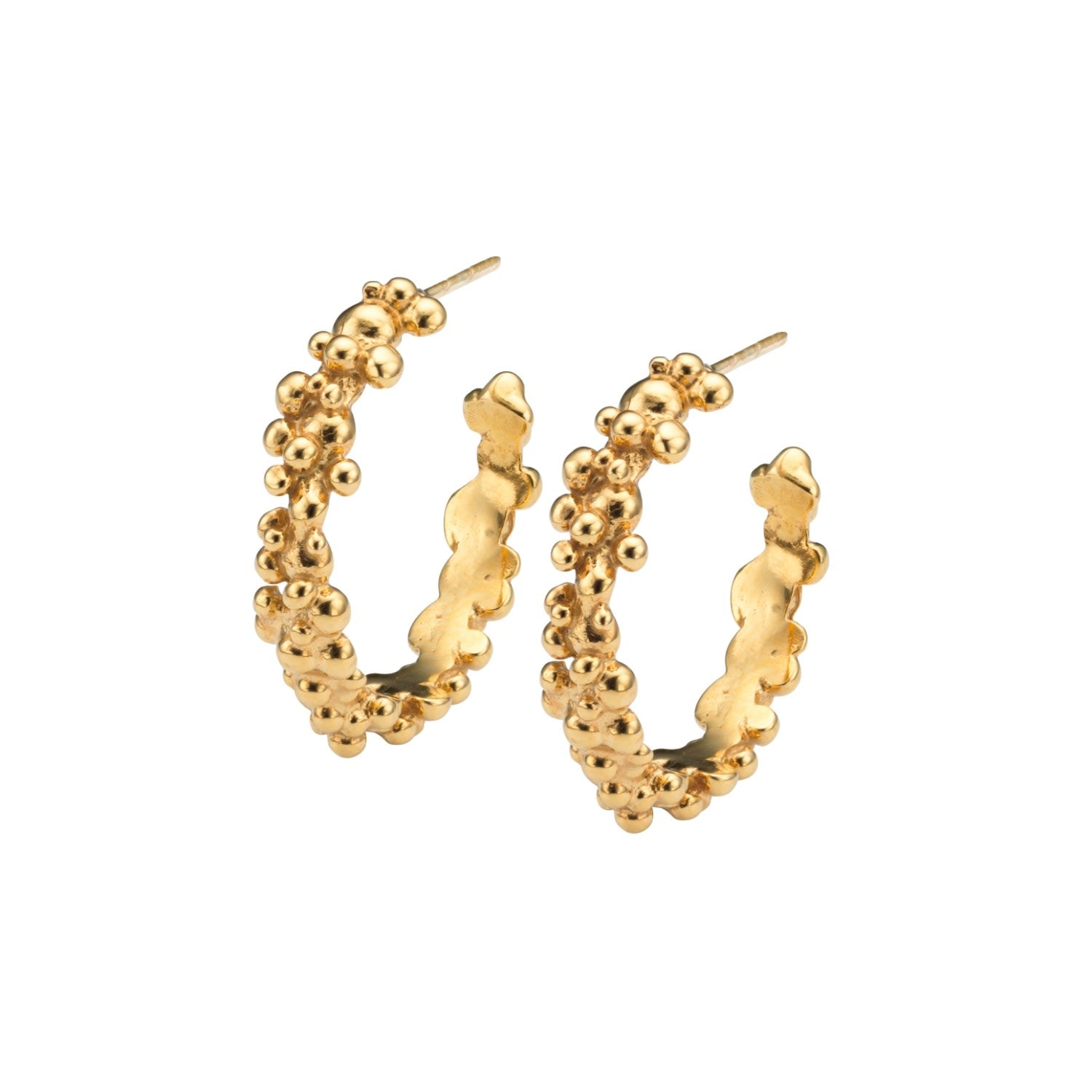 Céleste Deux Hoop Earrings Gold