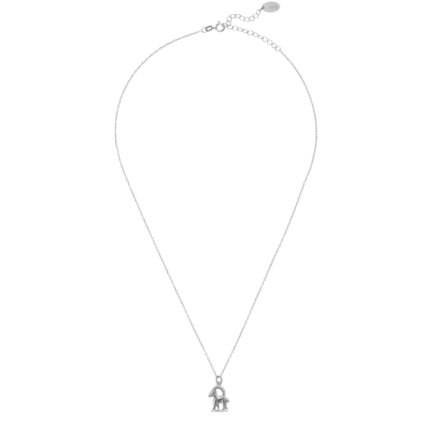 Zodiac Star Sign Necklace Silver Capricorn