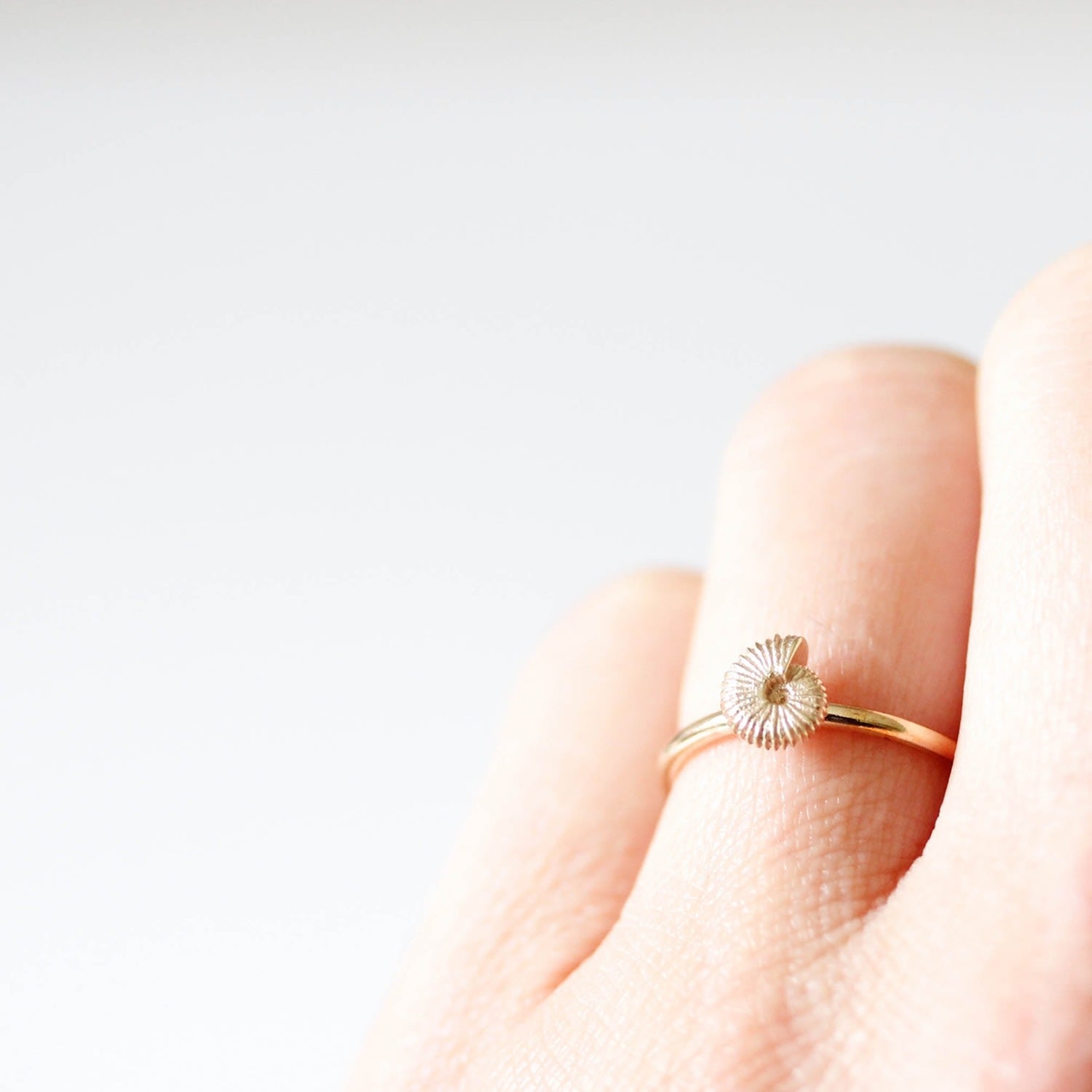 Ammonite Ring - Gold