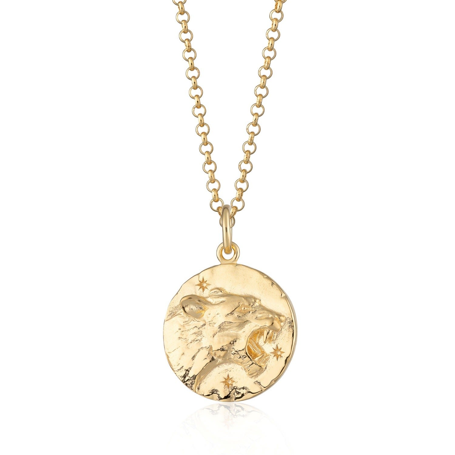 Gold Leo Zodiac Charm Necklace