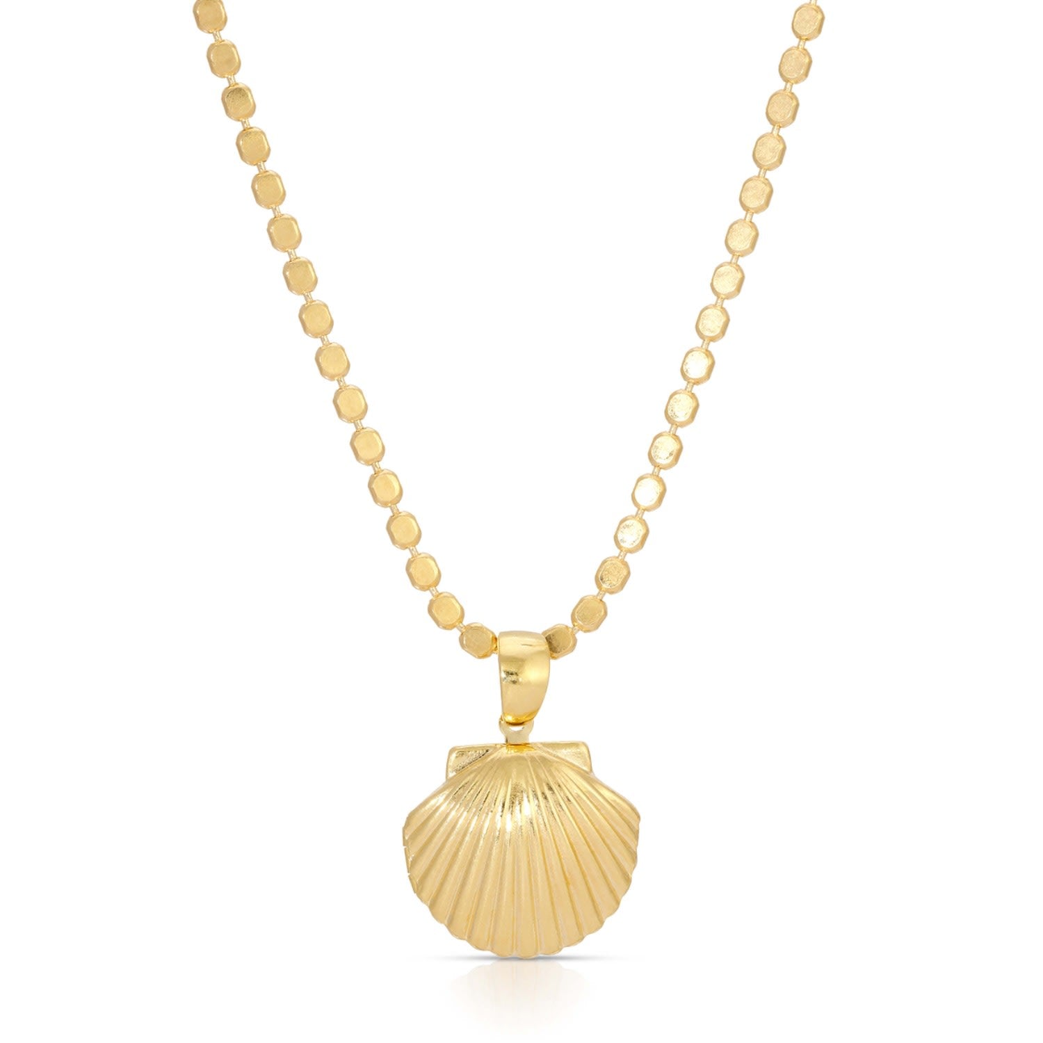 Venus Shell Locket On Gold Coin Chain