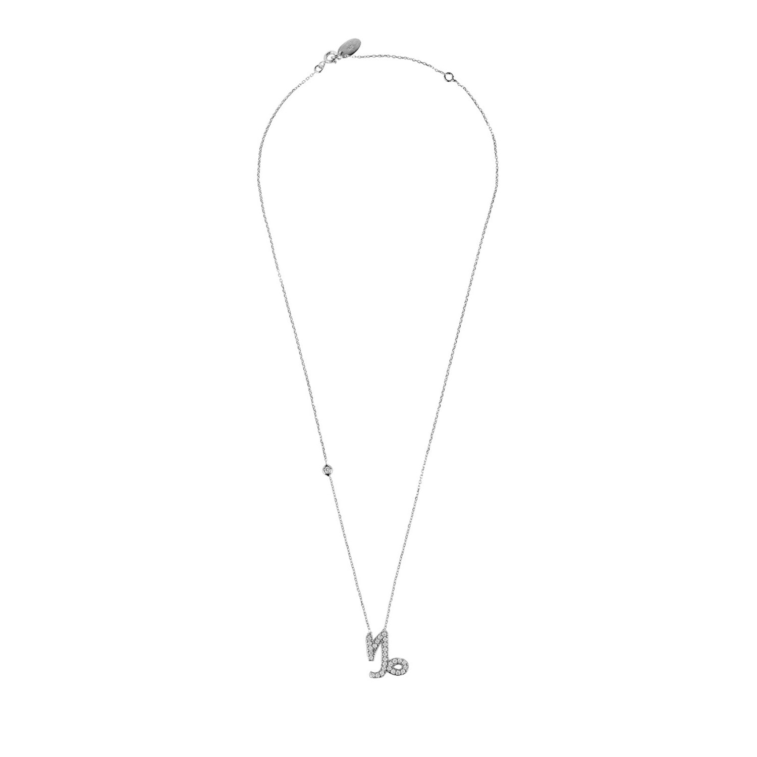 Zodiac Star Sign Pendant Necklace Silver Capricorn