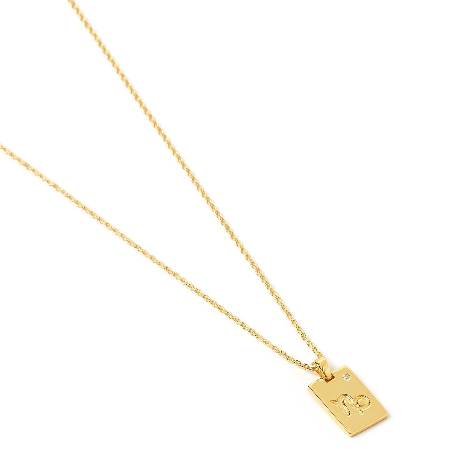 Capricorn Zodiac Gold Tag Necklace
