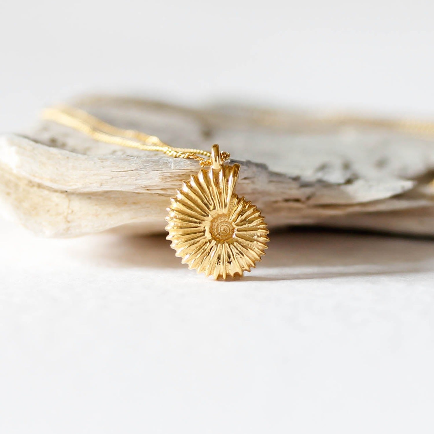 Ammonite Necklace - Silver