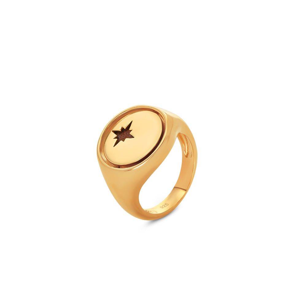 Wishing Star Spinner Signet Ring in Vermeil