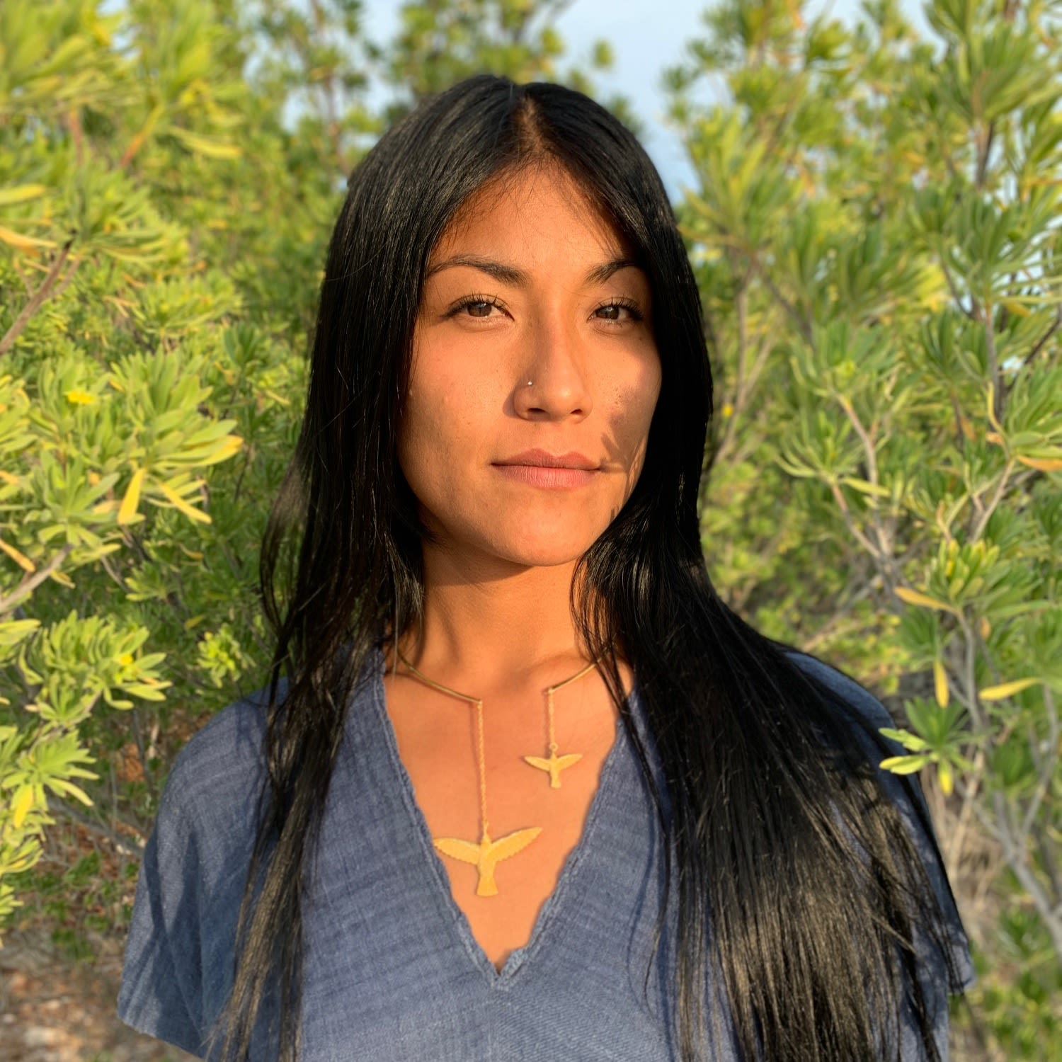 Choker Two Hummingbirds Silver