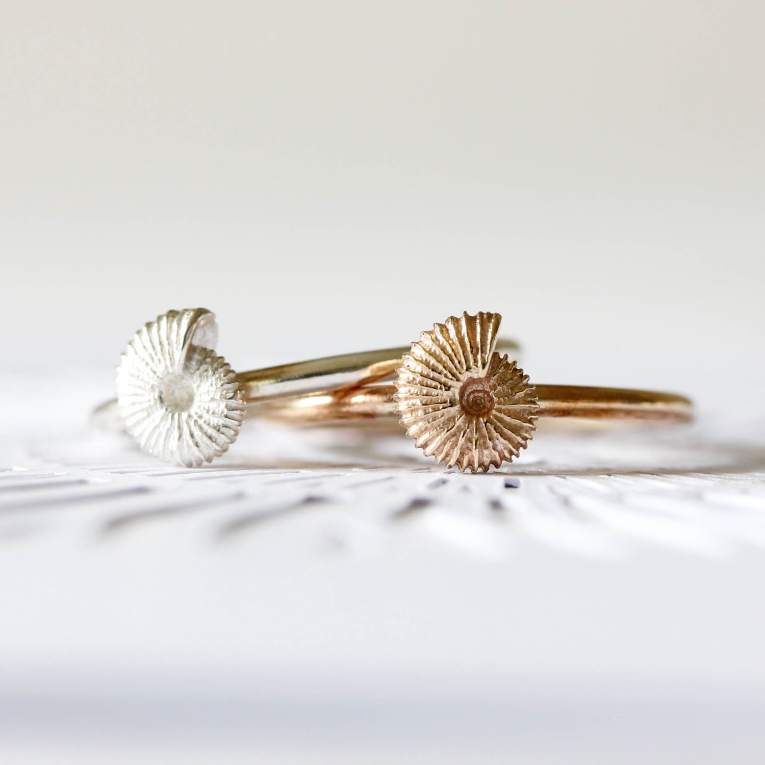 Ammonite Ring - Sterling Silver