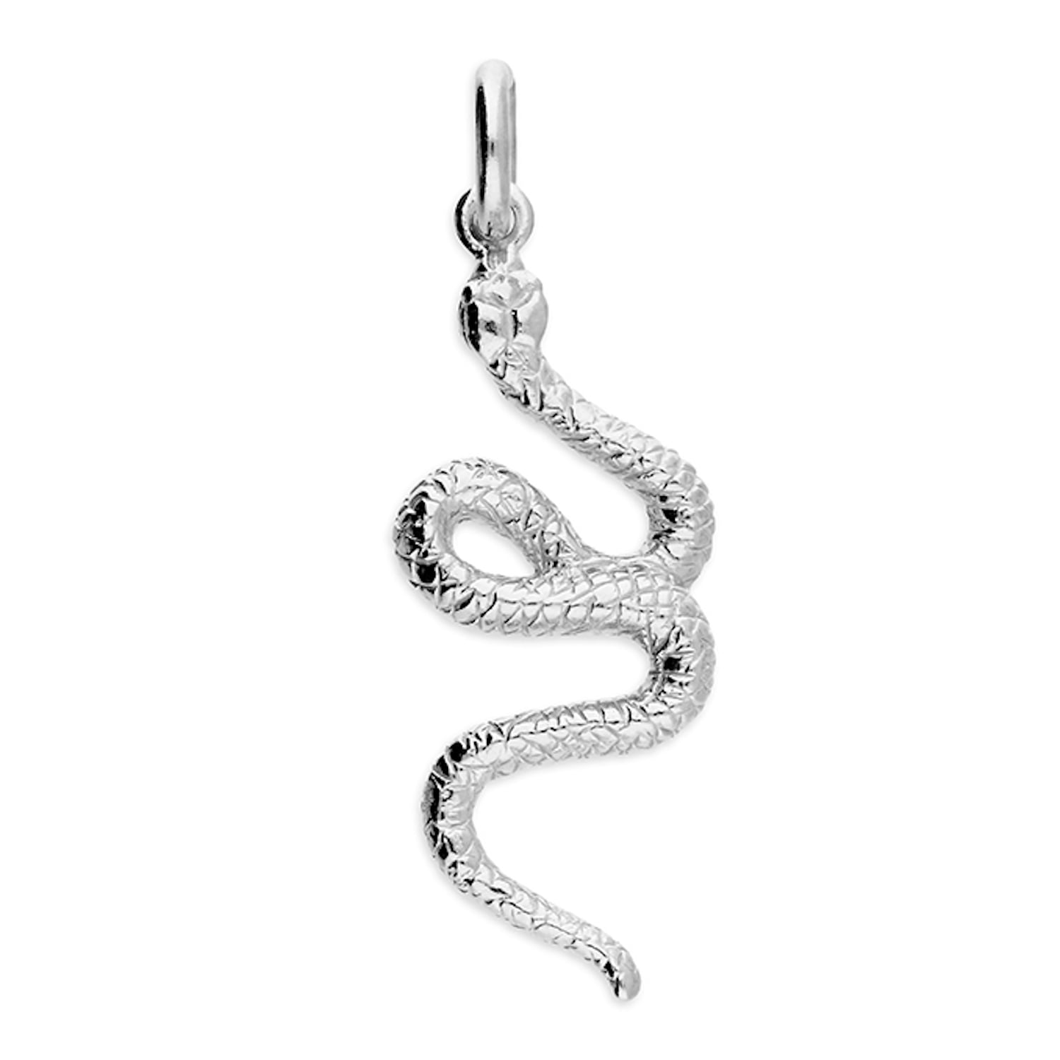 Year Of The Snake Pendant & Fine Chain