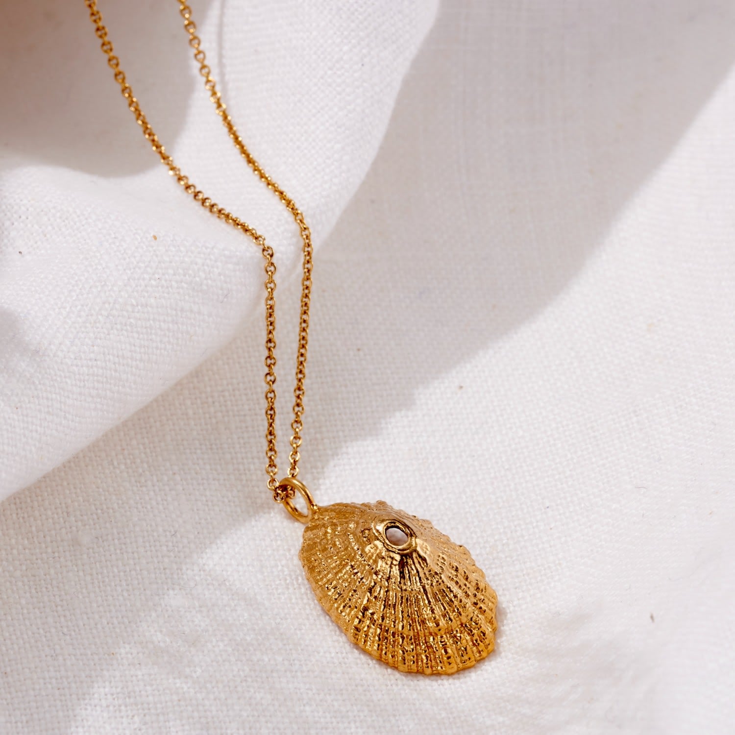 Yellow Gold Plated Limpet Shell Necklace