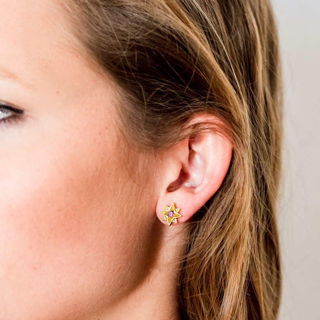 Guiding North Star Gold Vermeil Stud Earrings - Rhodolite Garnet