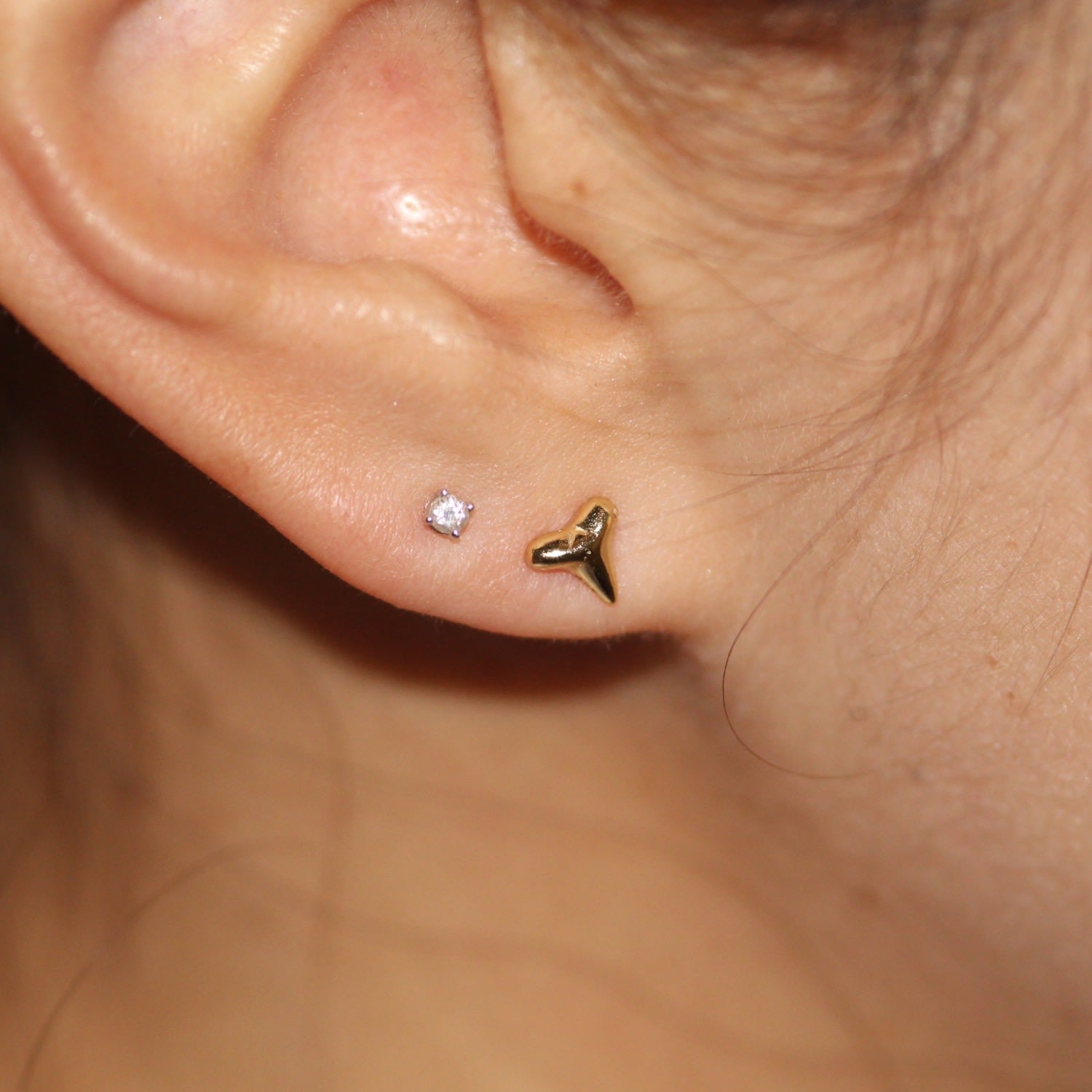 Shark Tooth Stud Rose Gold Earrings