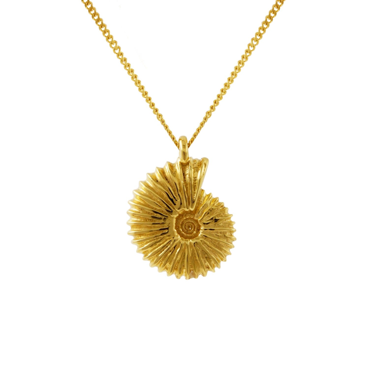 Ammonite Necklace - Gold
