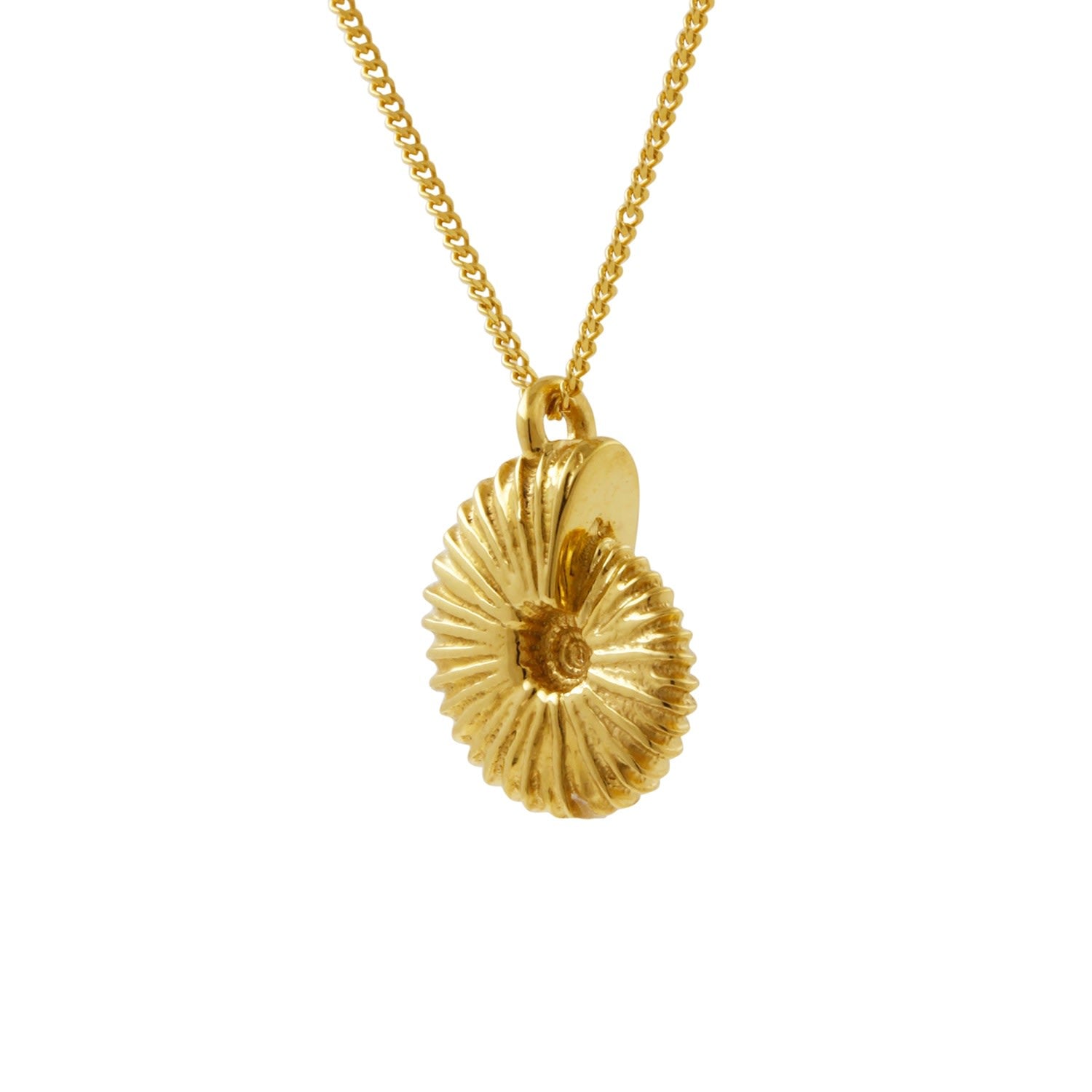 Ammonite Necklace - Gold