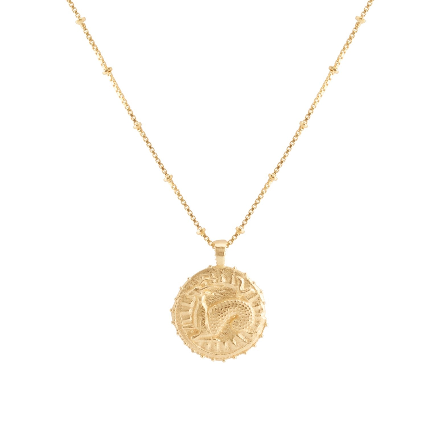Capricorn Zodiac Manifesting Necklace *Double Sided* - Gold Vermeil