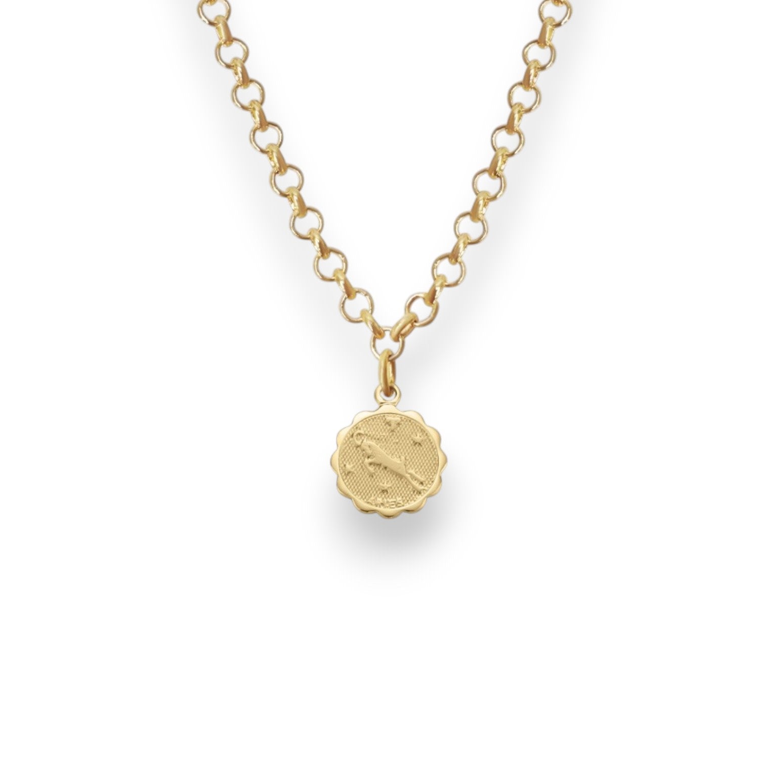 Aries Zodiac Mini Medallion Chain Necklace