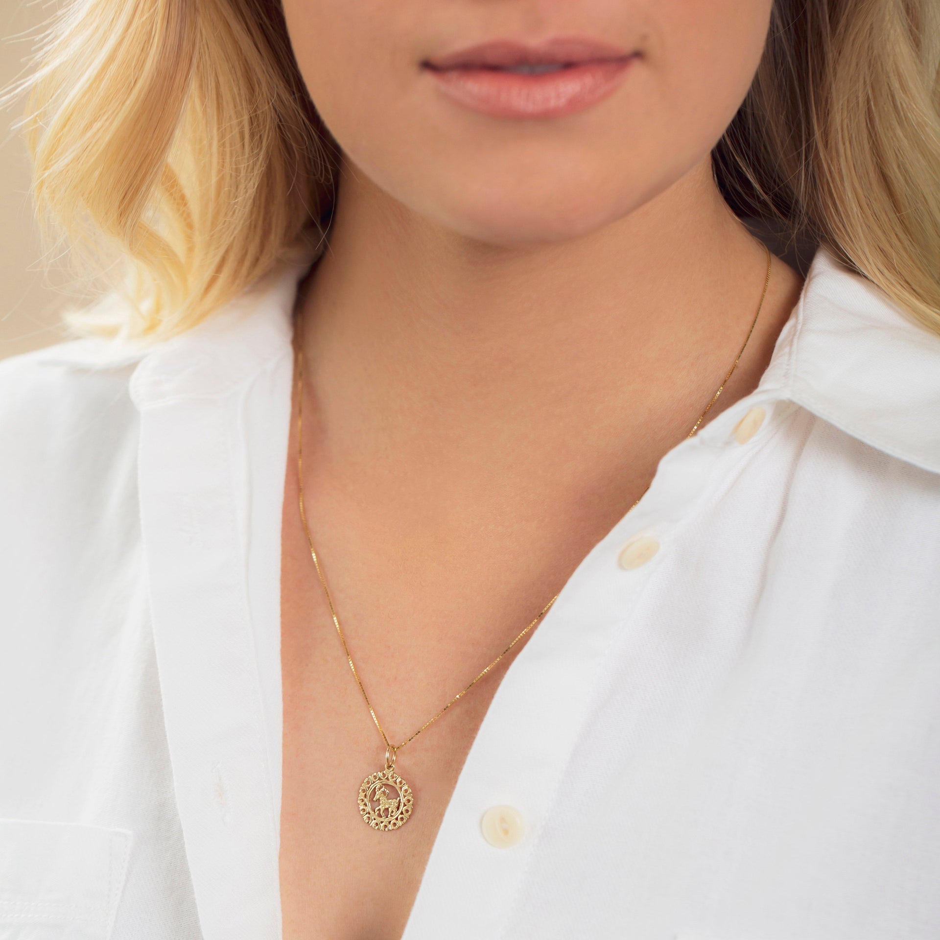 Zodiac Necklace - Aries